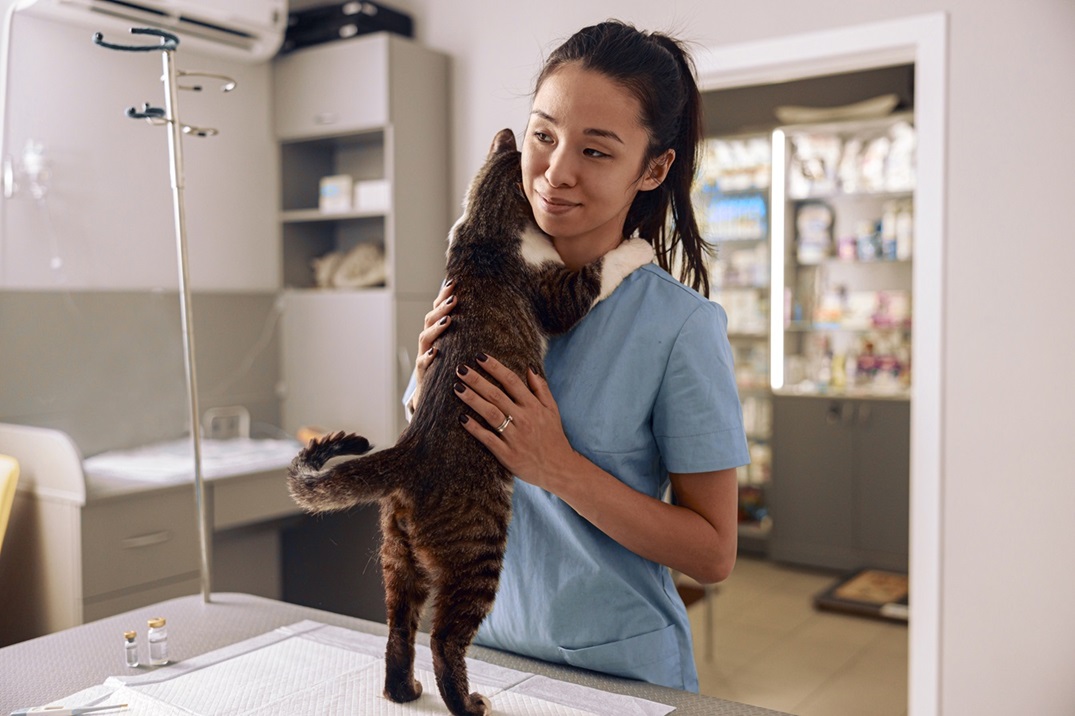 Essential Tips for Pet Health